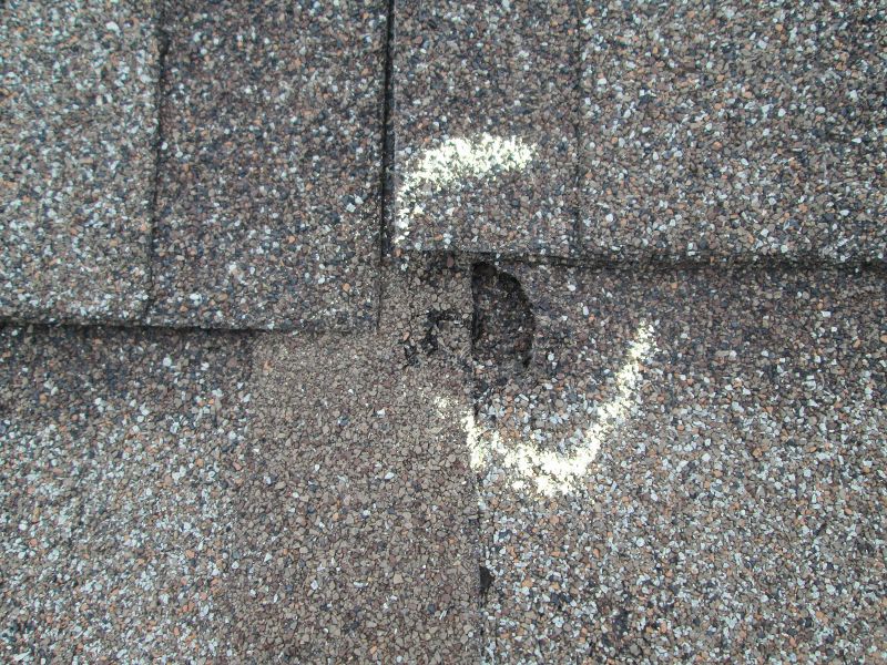 Causes Of Asphalt Shingle Damage And When Repair Is Enough