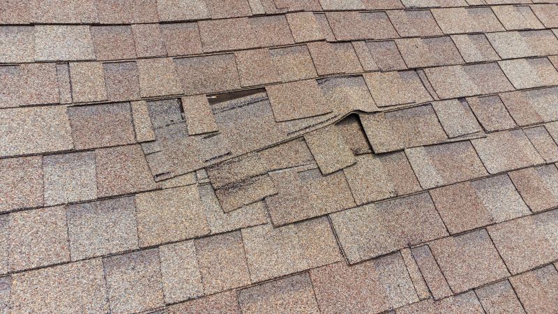 Damaged Shingle Close-up