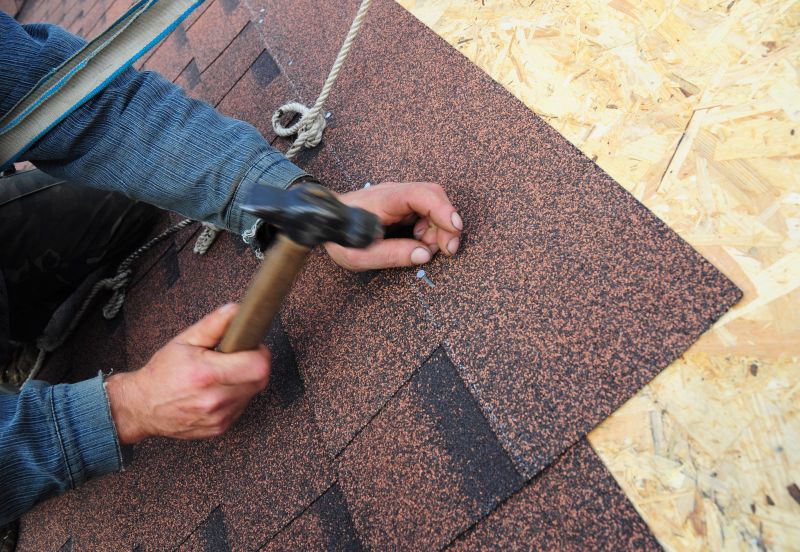 Shingle Repair in Winter