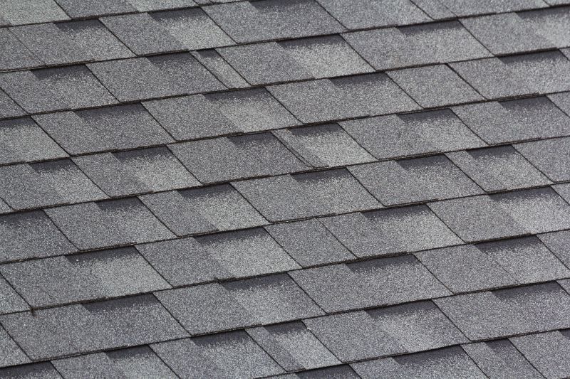 Get Professional Shingle Repair Service To Preserve Structural Integrity!